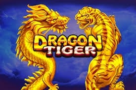Dragon Tiger Casinos