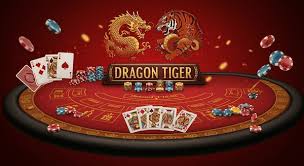 Dragon Tiger Casinos